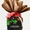 panettone cioccolato